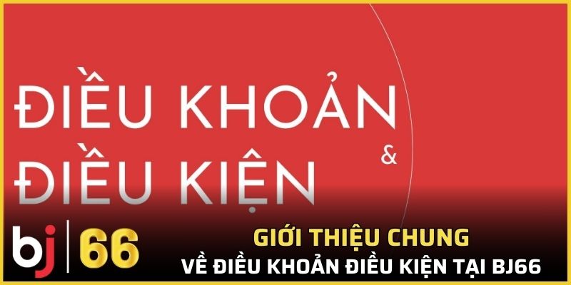 Giới thiệu chung về điều khoản điều kiện tại Bj66