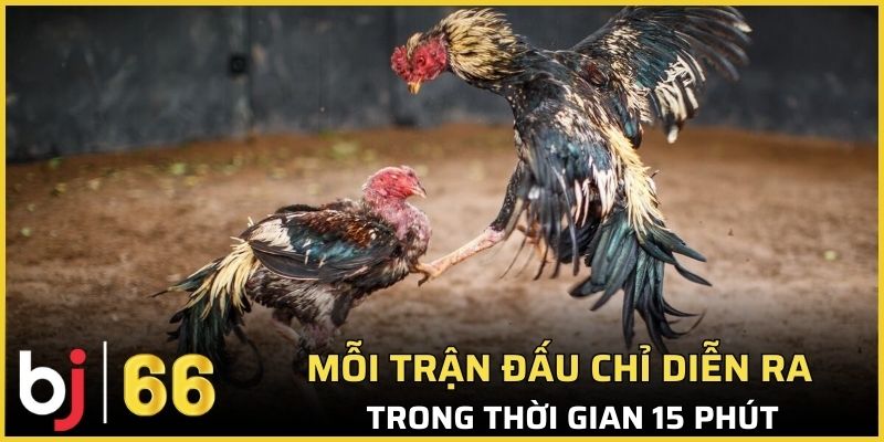 Mỗi trận đấu chỉ diễn ra trong thời gian 15 phút