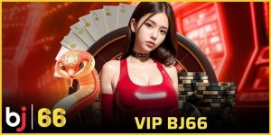 VIP Bj66