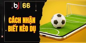 Cách nhận biết kèo dụ