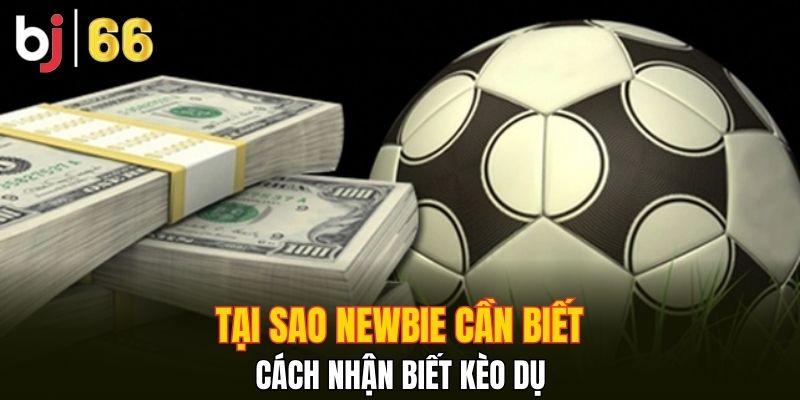 Tại sao newbie cần biết cách nhận biết kèo dụ