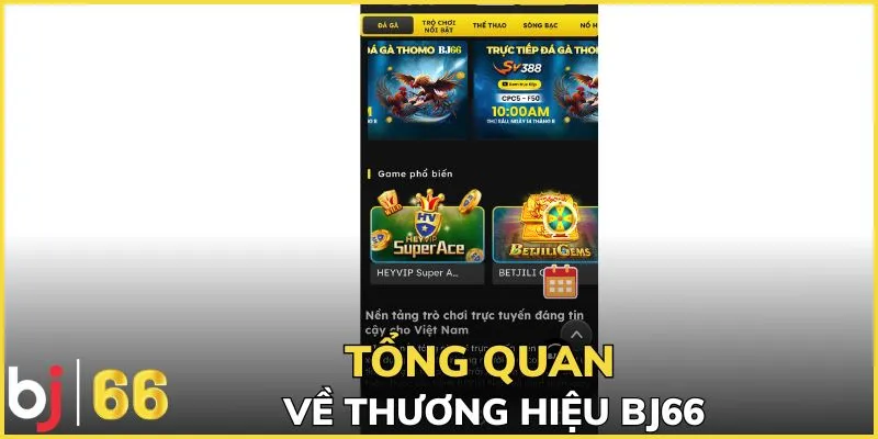 Tổng quan về thương hiệu BJ66